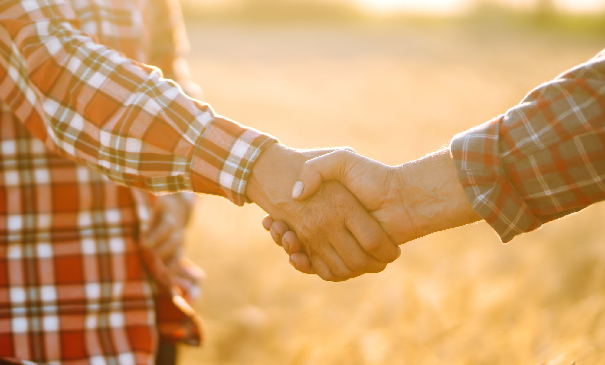 two men shaking hands in field