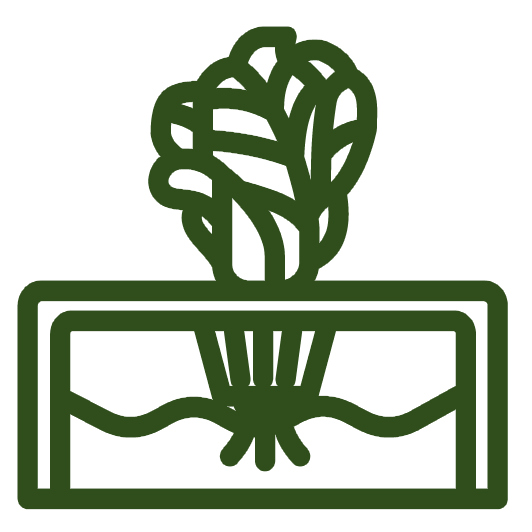 Controlled Environment Ag