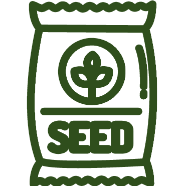Seed-1
