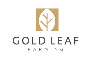 gold leaf farming
