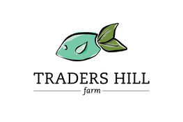 traders-hill-logo